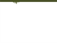 Tablet Screenshot of healthsprings.net